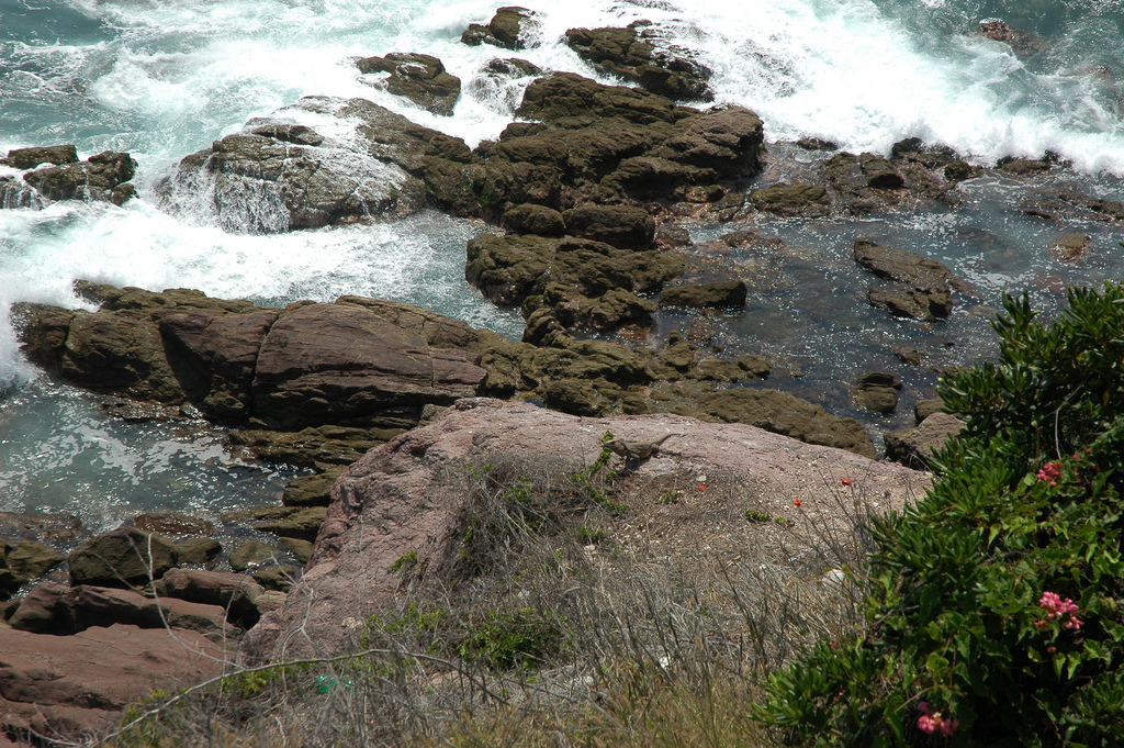 Image result for Mazatlan, Mexico