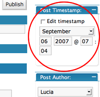 WordPress Timestamp