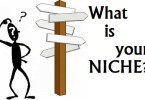 What is the niche that will MAKE you the most MONEY ?